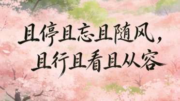 美到极致最经典十句话，禅意高雅唯美句子
