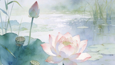 5月20号发朋友圈文案，赞美老年人风采依旧的一段话
