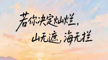 中国式浪漫惊艳开头,原胶蛋白的功效与作用