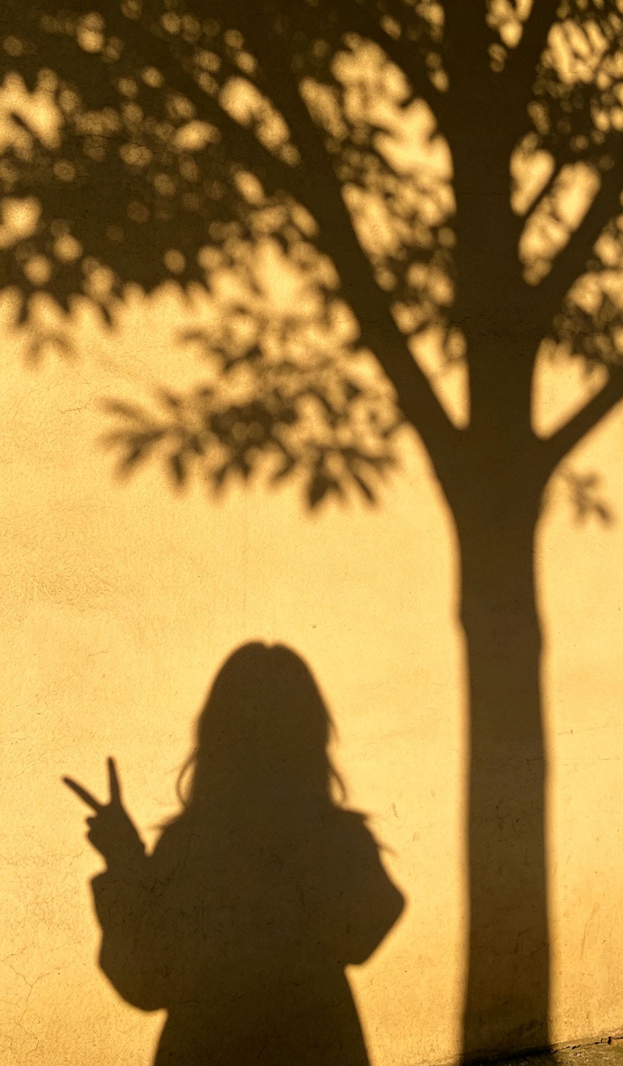 引起女人共鸣的文案，女人温柔到极致的短句
