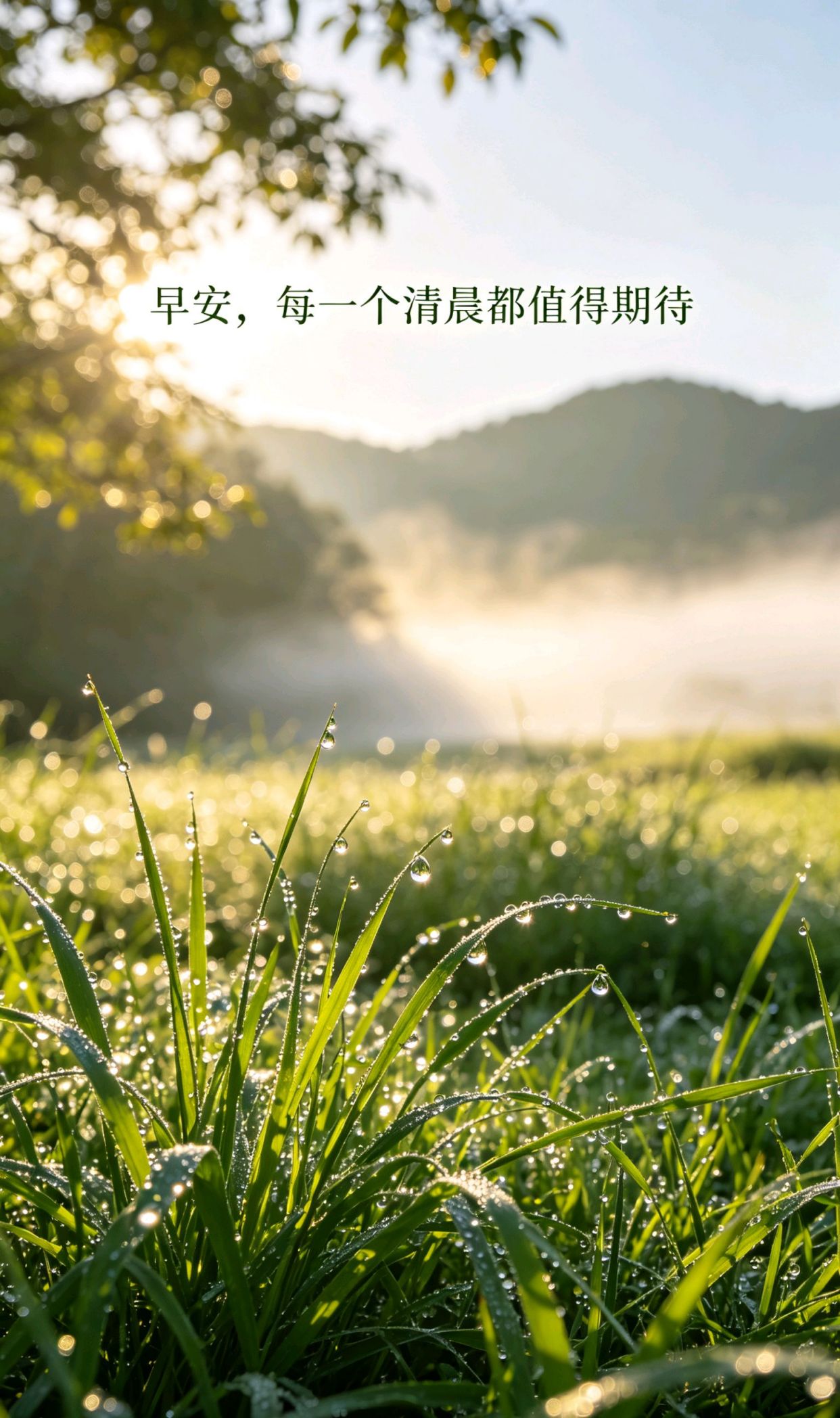 日子一般般,快乐很简单,用镜头留住时光的美句