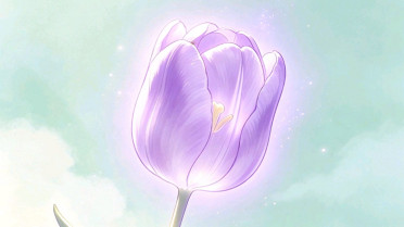 什么叫哲学，貌美如仙七绝